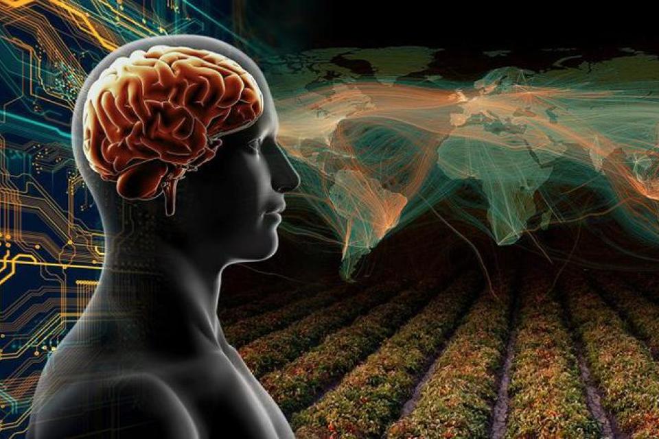 Futuristic image with world map, circuits, crops, human brain