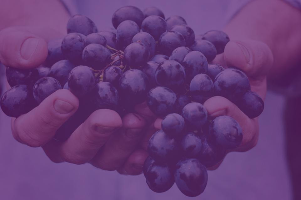 man holding grapes