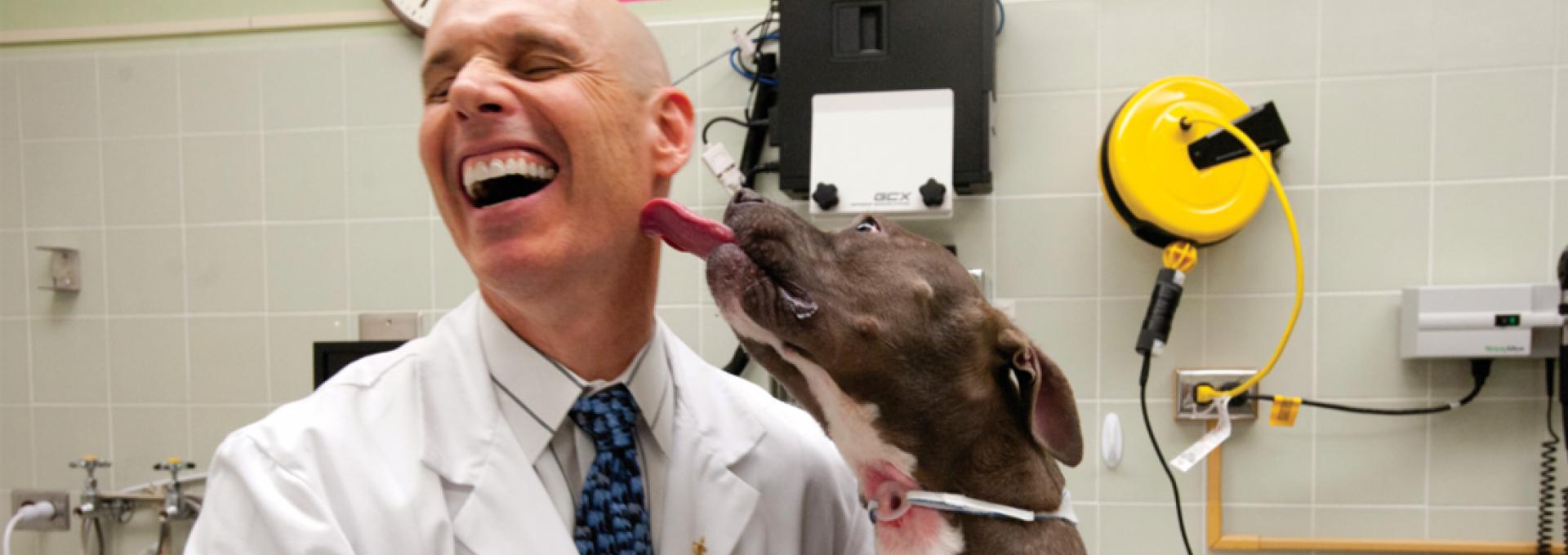 Dog licking veterinarian's face