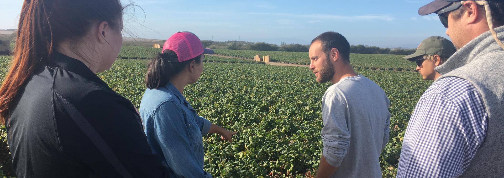 Agriculture students visit crops in field