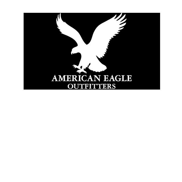 American Eagle Outfitters  UC Davis Graduate School of Management