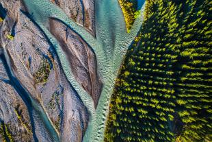 Aerial view of a braided river flowing alongside a dense forest with green trees, creating a clear boundary between water and woodland.