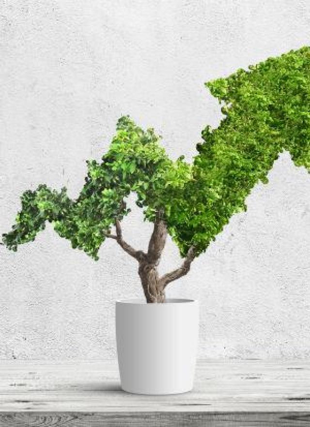 Potted tree with foliage shaped like a stock chart