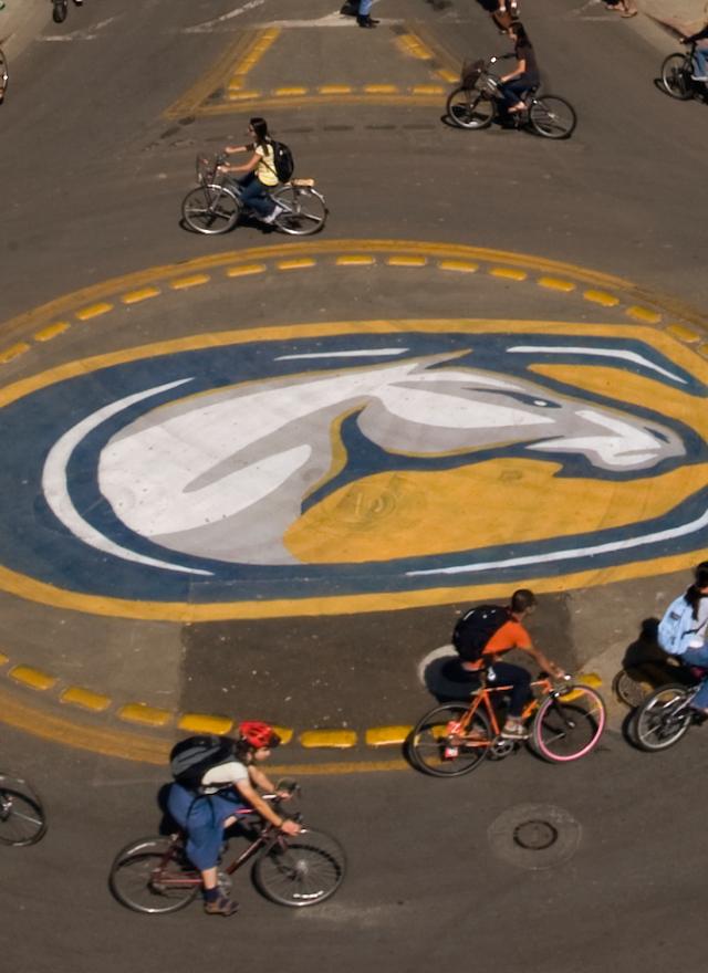 UC Davis Bike Circle