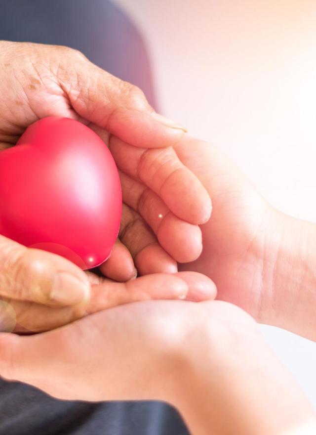 caring for elderly, philanthropy kindness heart
