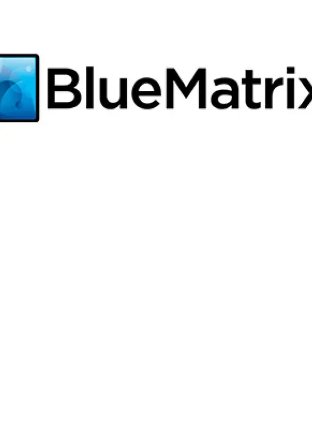 Logo: Blue Matrix