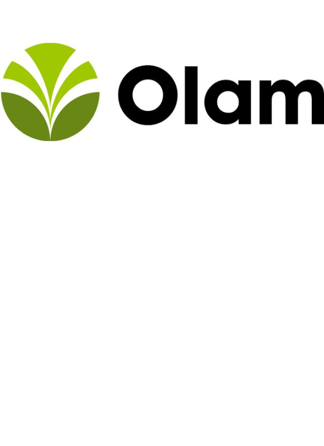 Olam
