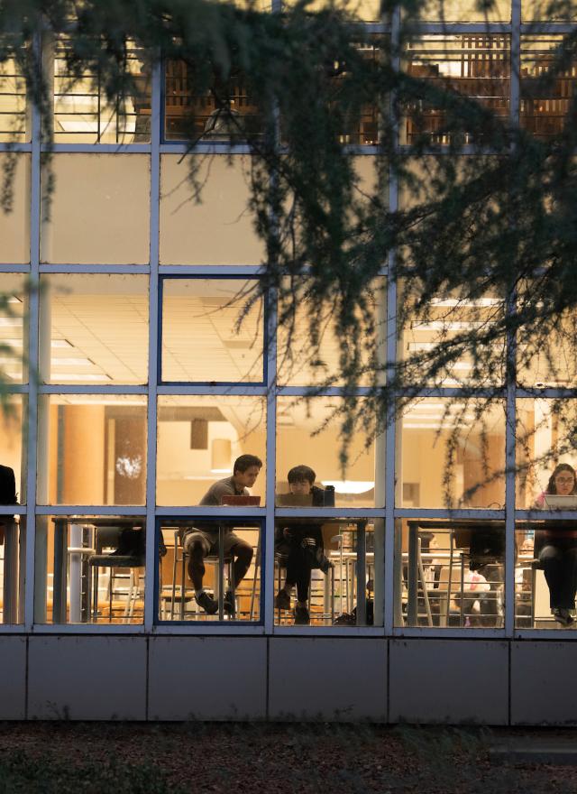 Students studying in the library, photographed from outside through a window
