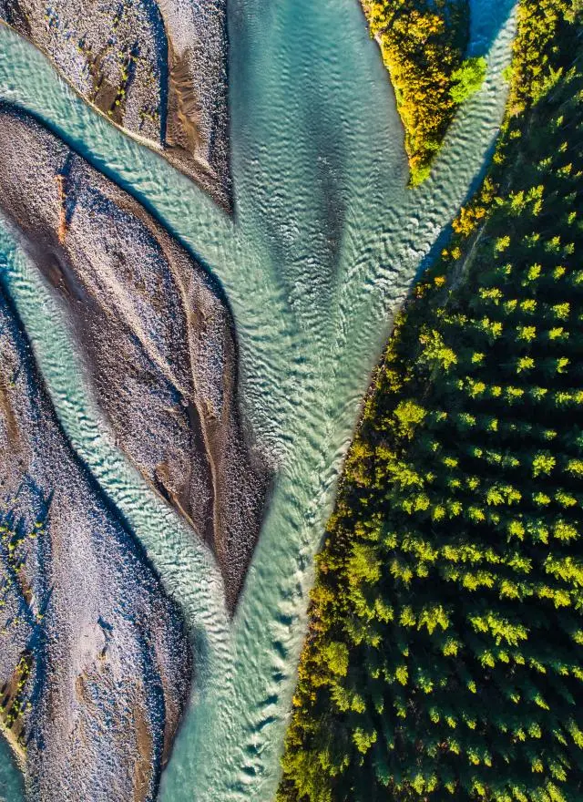 Aerial view of a braided river flowing alongside a dense forest with green trees, creating a clear boundary between water and woodland.