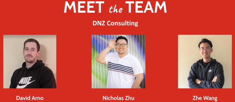 DNZ Consulting Team photo