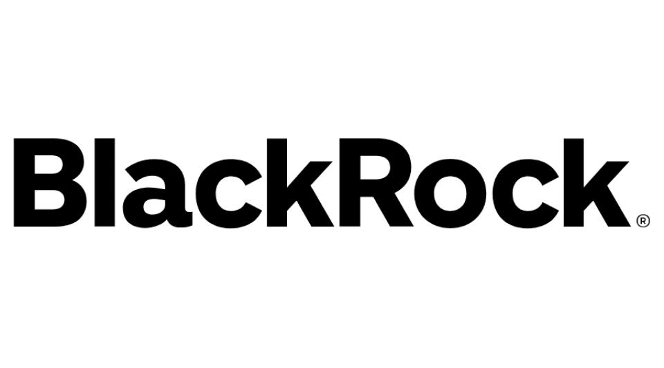 BlackRock Investments logo
