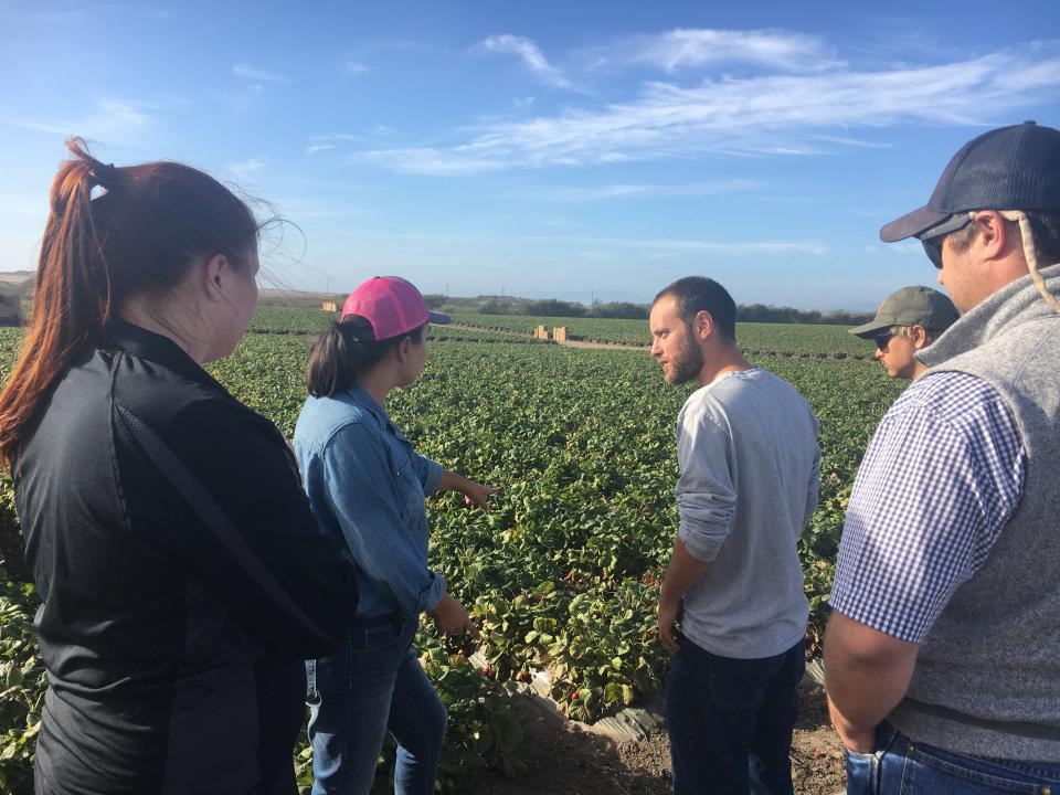 Agriculture students visit crops in field