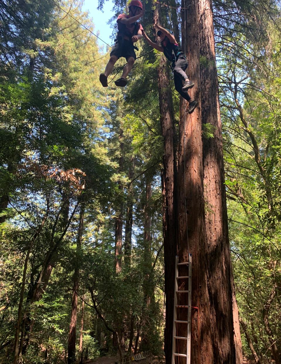 Full-Time MBA students soar in the Sonoma redwoods
