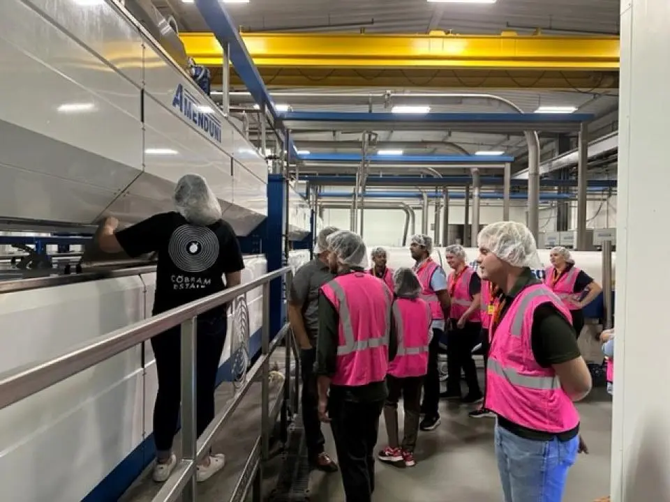 Group of people touring a olive oil production facility