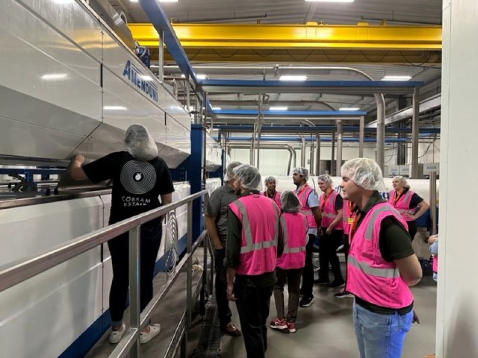 Group of people touring a olive oil production facility