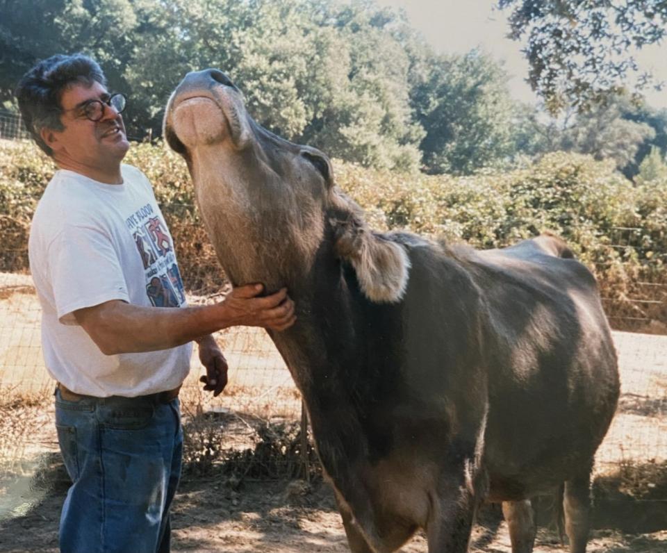 Man standing with a happy cow