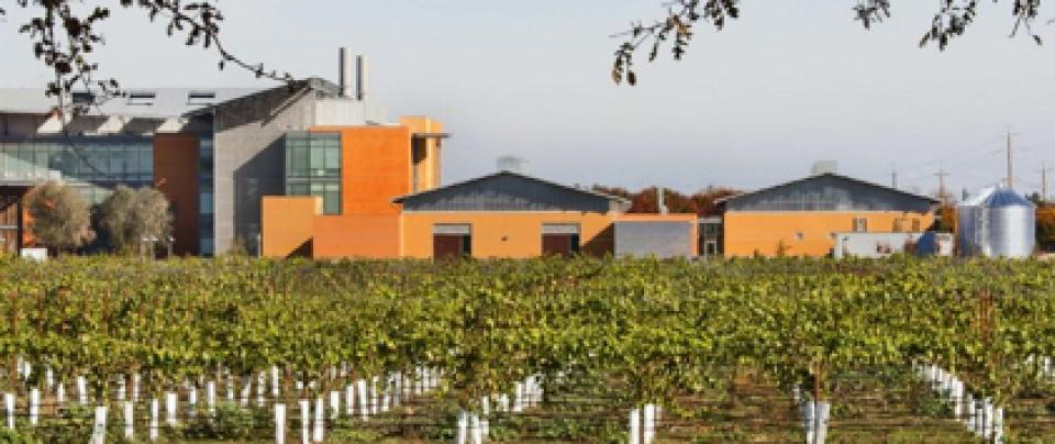 Viticulture & enology facilities