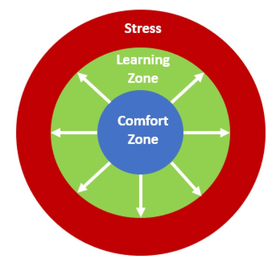 FIGURE E Comfort zone model showing comfort, learning, and panic zones.