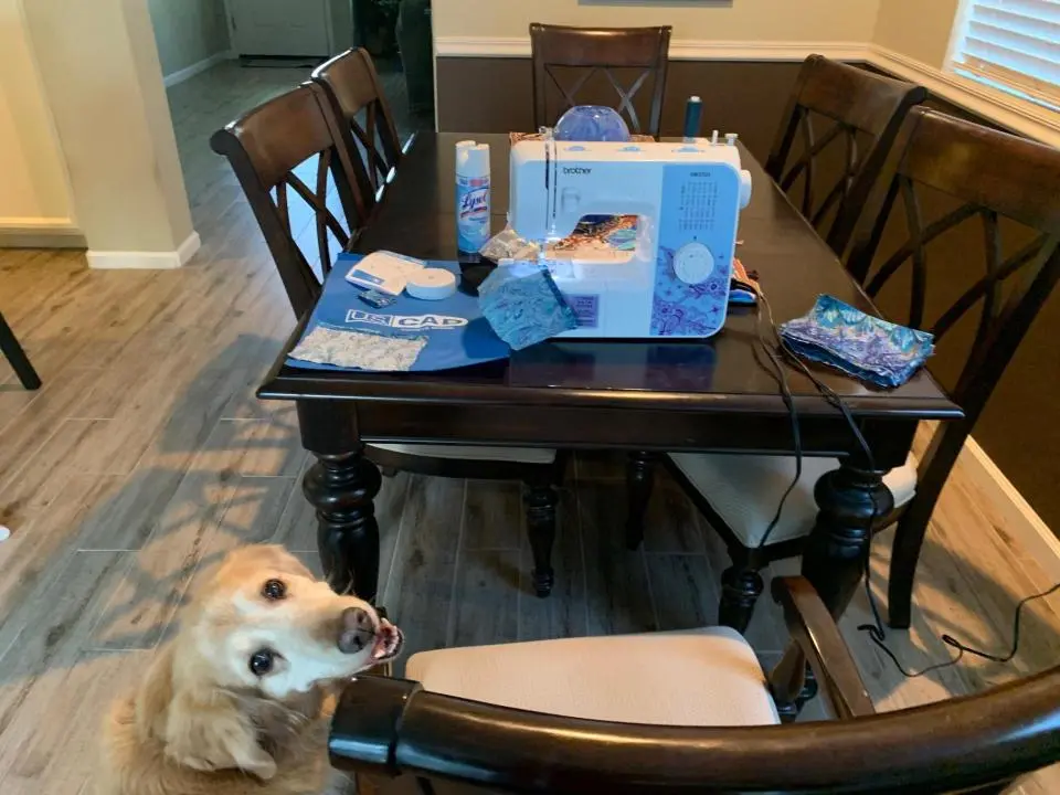 A sewing machine, fabric, thread, and supplies are spread out on a dining table. A dog is sitting nearby, looking up at the camera.