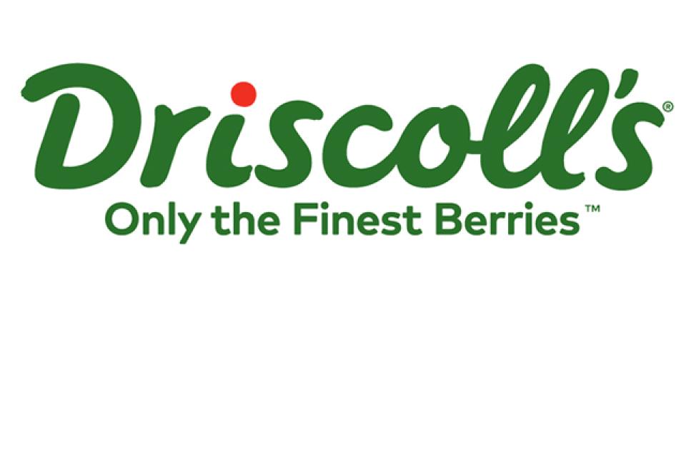 Driscoll’s logo
