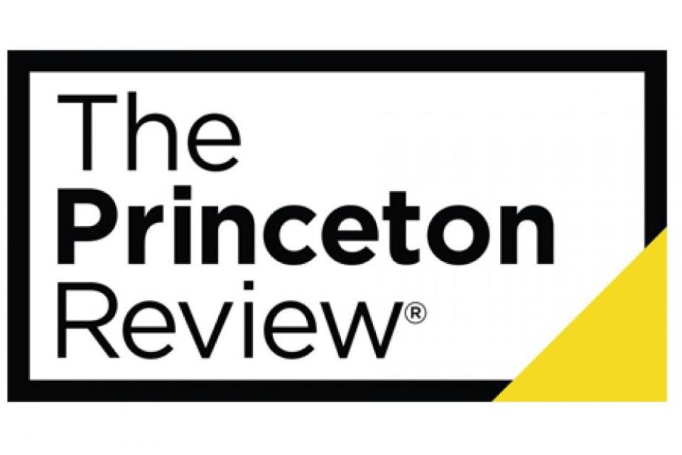 Logo: Princeton Review