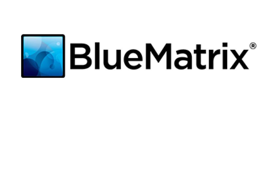Logo: Blue Matrix
