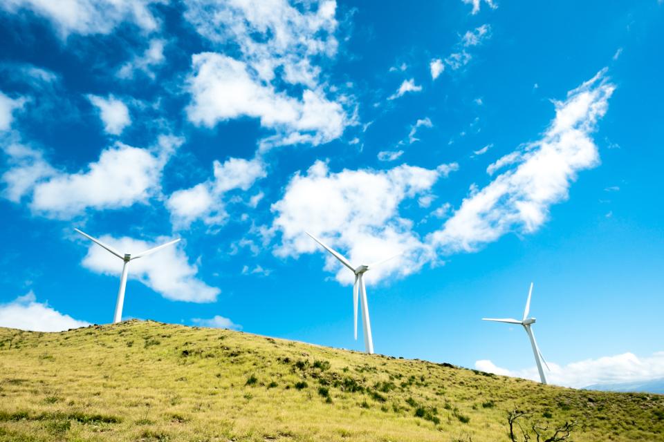 Windmills on hill