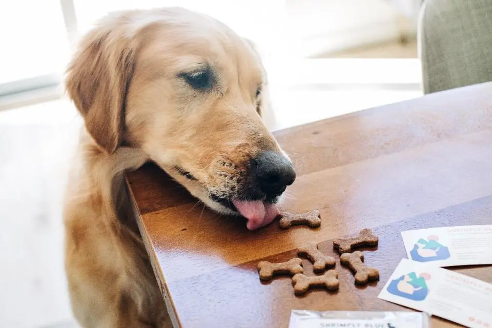 Shrimply Blue Dog Treats - photo courtesy of Jen Schmidt Photography