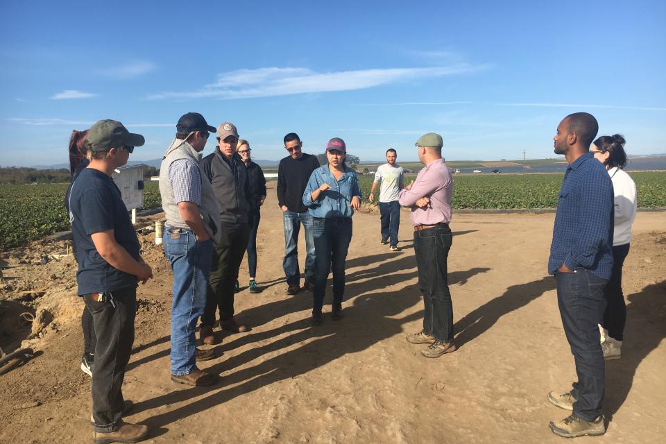 Jackie Vasquez, director of operations for Sundance Berry Farms