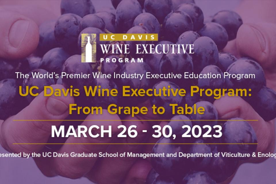 Wine Executive Program flyer 