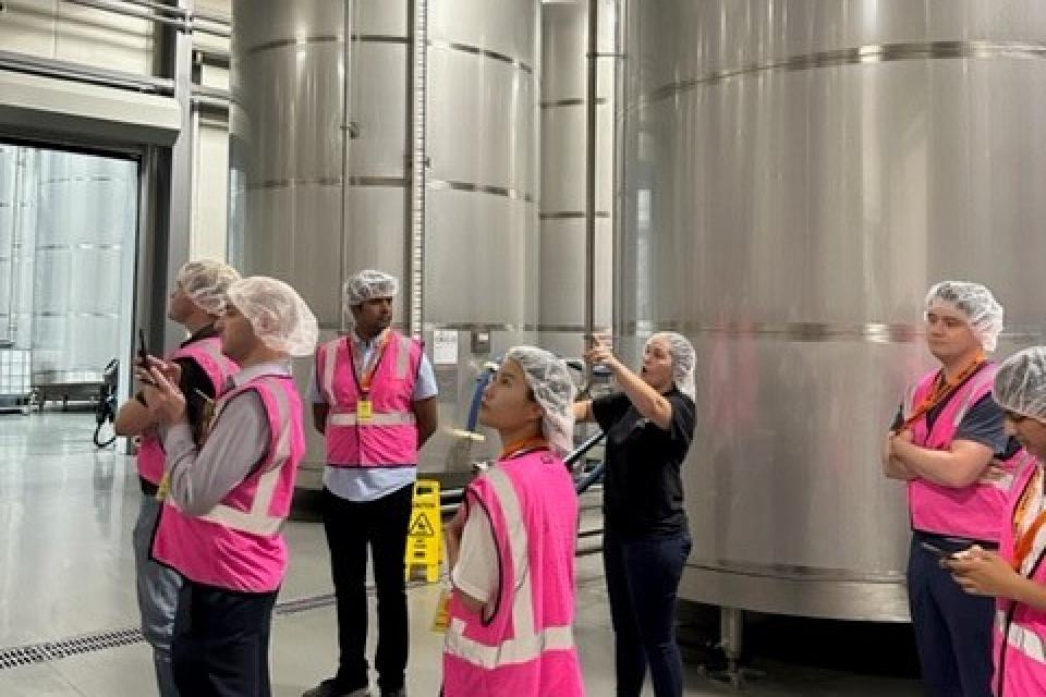 People in pink safety vests and hair nets touring olive oil production facility