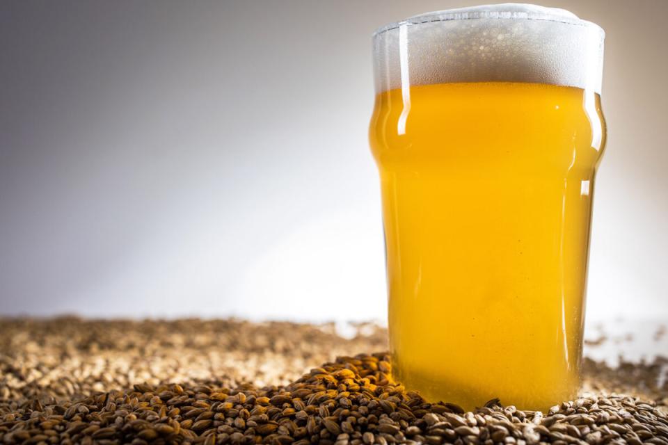 Beer glass in a pile of brewser's grains