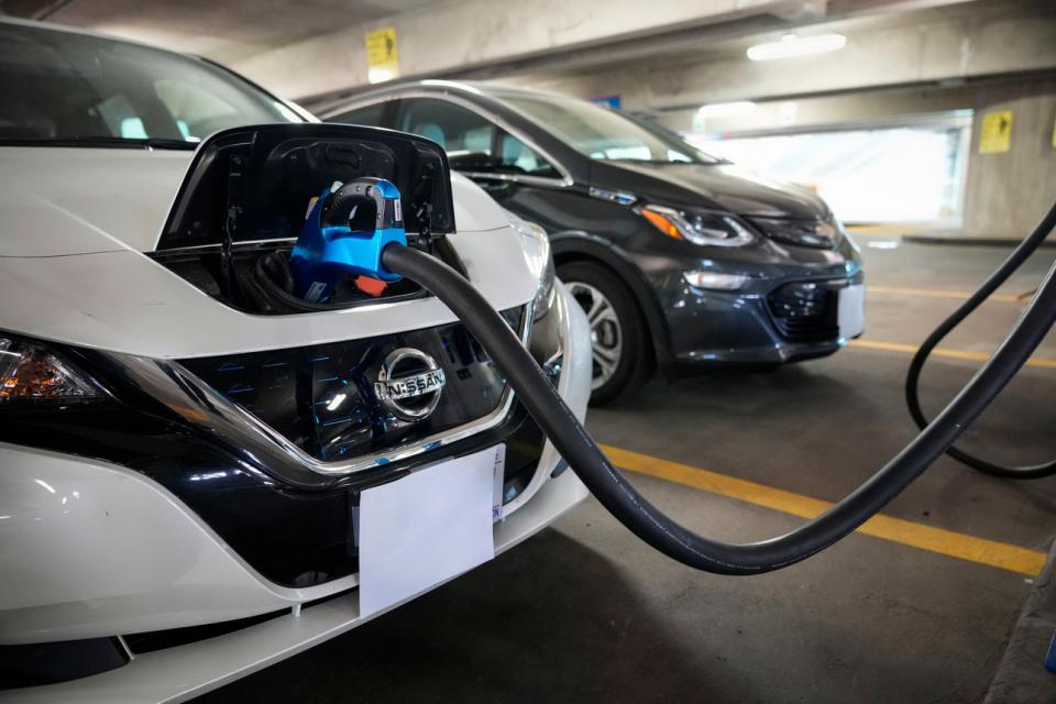 The Business of Electric Vehicles- A Platform Perspective